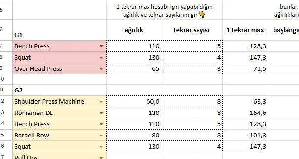 Programa Başlangıç Ağırlıkları 2