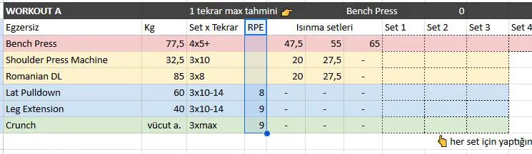 Programın İlerleyişi & Ağırlık Artışı 3