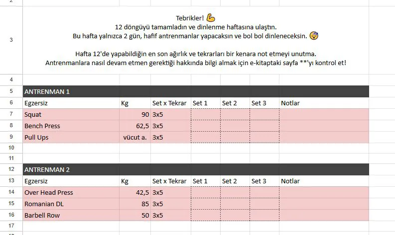 Programın İlerleyişi & Ağırlık Artışı 5